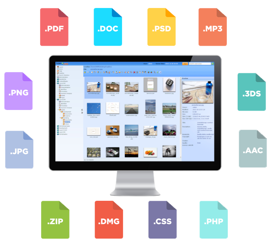 digital asset management file types