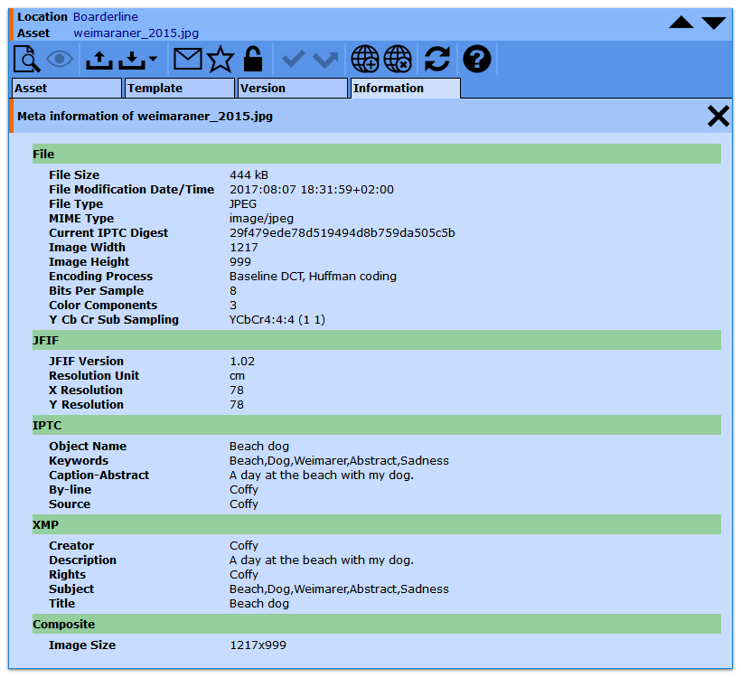 Metadata Report