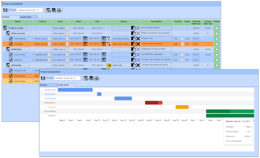 Project Management